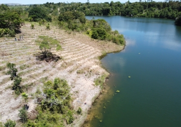 Projeto Cacau & Floresta avança com plantio de mais de 80 mil mudas nativas em Eunápolis