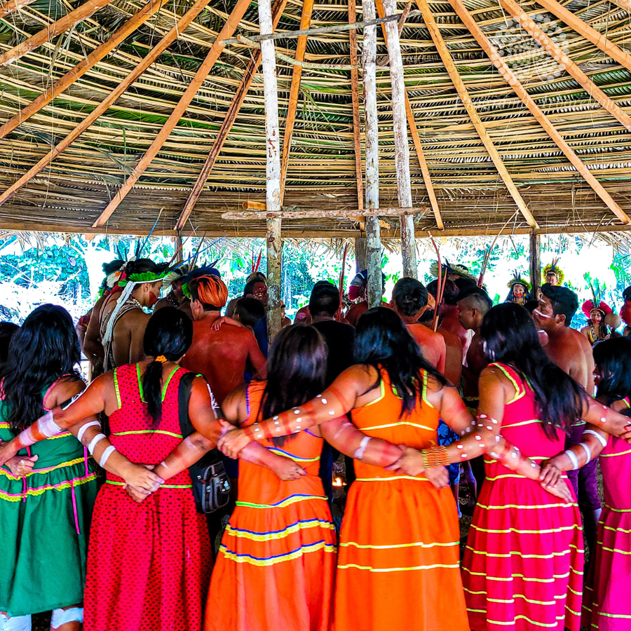 Florestas Culturais: Arboretum promove encontro histórico entre povos indígenas