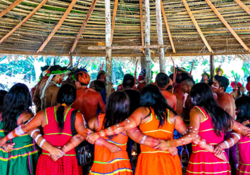 Florestas Culturais: Arboretum promove encontro histórico entre povos indígenas