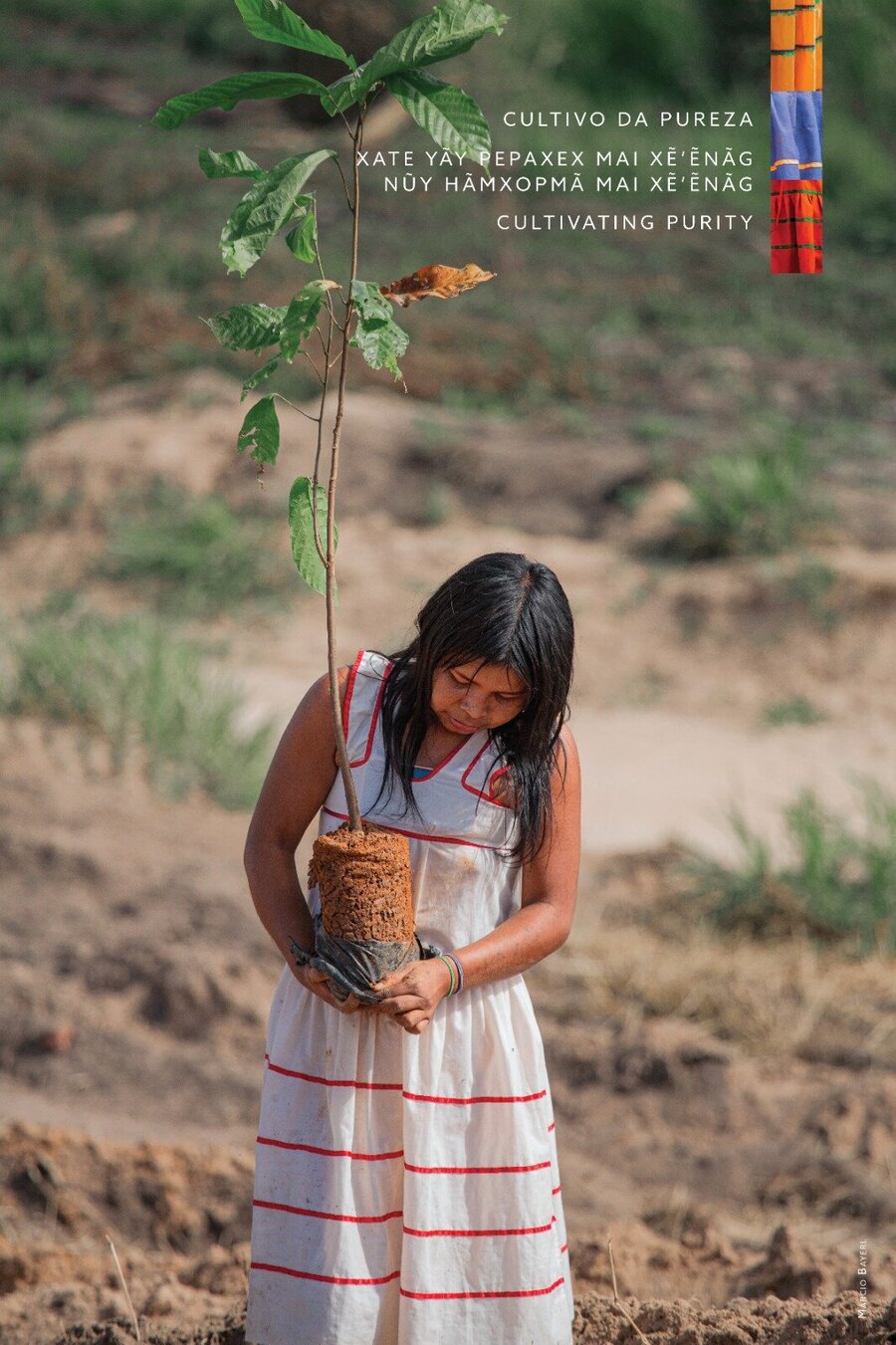 Programa Arboretum realizou a Exposição Fotográfica Florestas Culturais