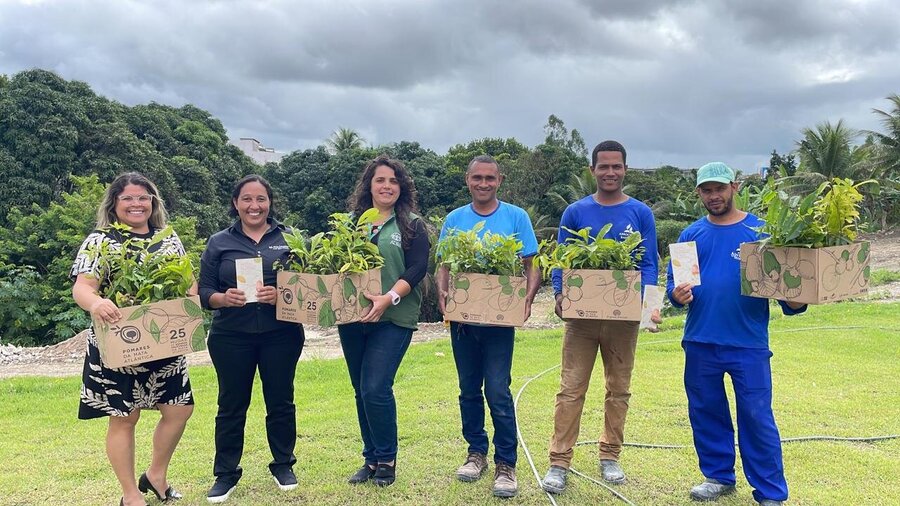 Cultura e Conservação: Projeto entrega mais de 40 mil mudas frutíferas da Mata Atlântica em 2023