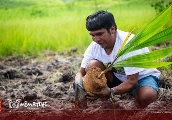 Florestas Culturais: etapa 2024 realizou plantio em mais de 18 hectares de T.I. Maxakali