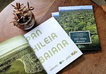 CNCFlora retoma parceria com o Programa Arboretum e integra Conselho Gestor