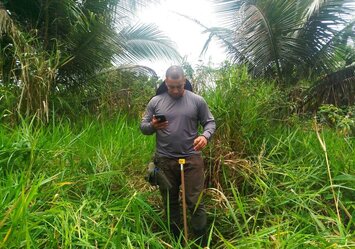 iNovaland lança 1ª fase de projeto para restaurar 10 mil hectares de Mata Atlântica no sul da Bahia