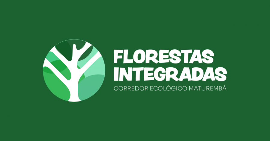 Florestas Integradas fortalecem a restauração florestal e a sociobiodiversidade no Extremo Sul da Bahia
