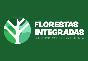 Florestas Integradas fortalecem a restauração florestal e a sociobiodiversidade no Extremo Sul da Bahia