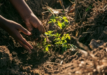 Restaurar em 2026: compromisso com a vida e com o território 