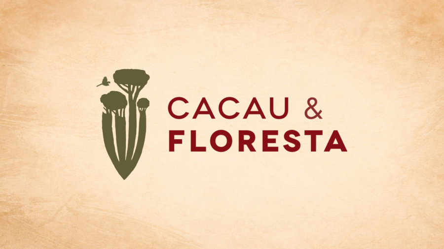 Cacau e Floresta: projeto fortalece agricultores e gera oportunidades no campo