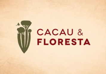 Cacau e Floresta: projeto fortalece agricultores e gera oportunidades no campo