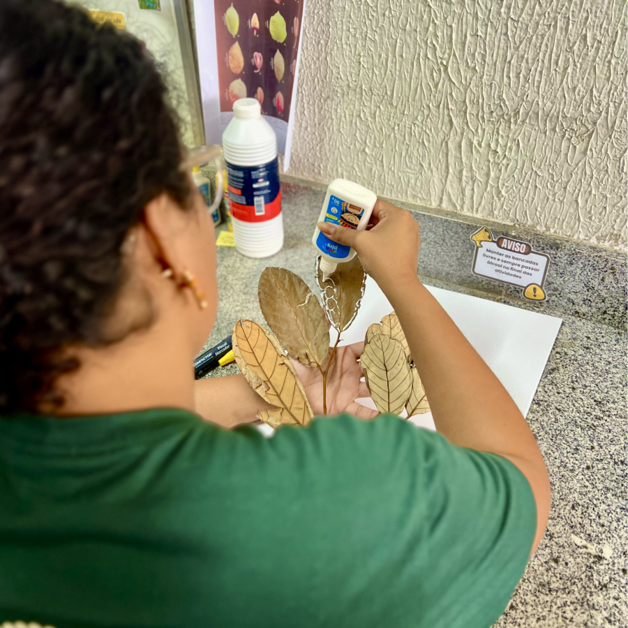 Herbário ARBO guarda 4 mil amostras de mais de 1.400 espécies da Mata  Atlântica 