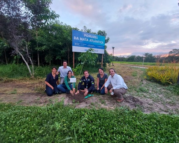 Projeto Pomares da Mata Atlântica