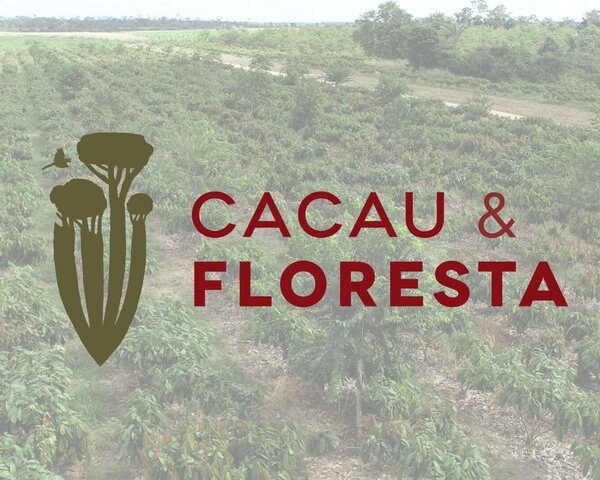 Projeto Cacau & Floresta