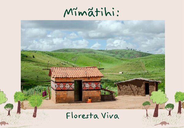 E-book - Mimãtihi: Floresta Viva